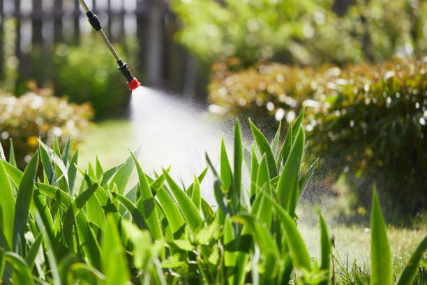 Tamper-Resistant Bait Stations for Rodents in Woodland Park