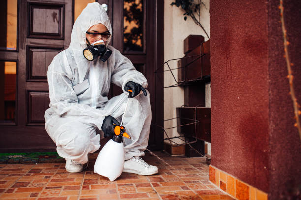 Attic and Crawl Space Rodent Treatment in Woodland Park